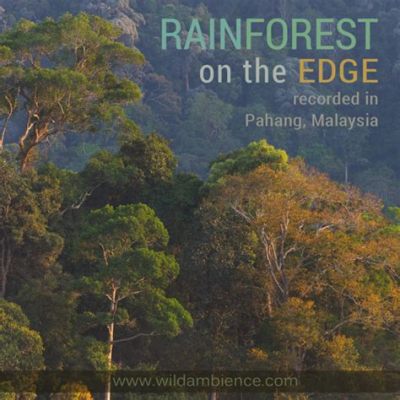   Rainforests –  Pioneering Soundscapes of Nature and Technology Intertwined