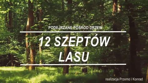 Spirit Dance - Melodie Z Pieśniami Wiatru i Szeptów Lasu