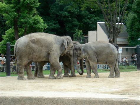 上野動物園駐車場、なぜか哲学的な議論の場に